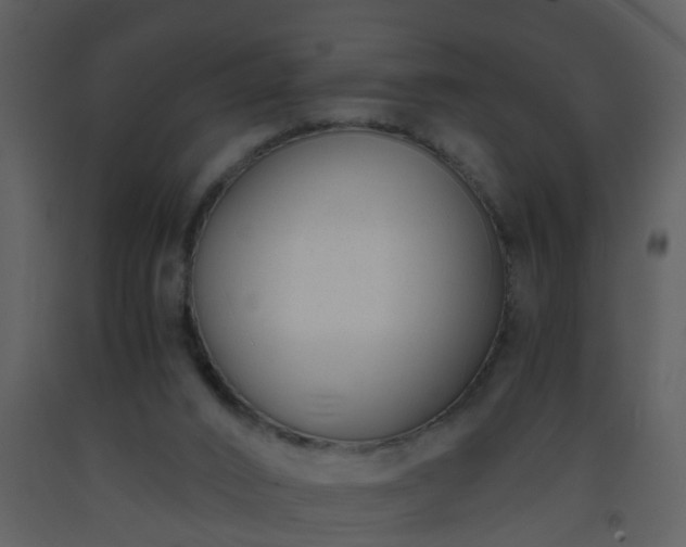 X0000093570016200710221453