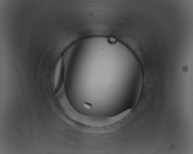 X0000093570017200710221453