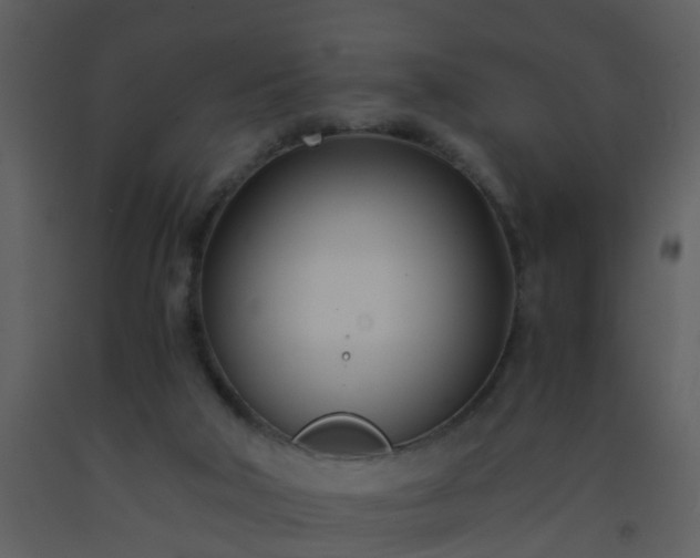 X0000093570018200710221453