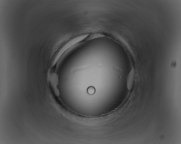 X0000093570019200710221452