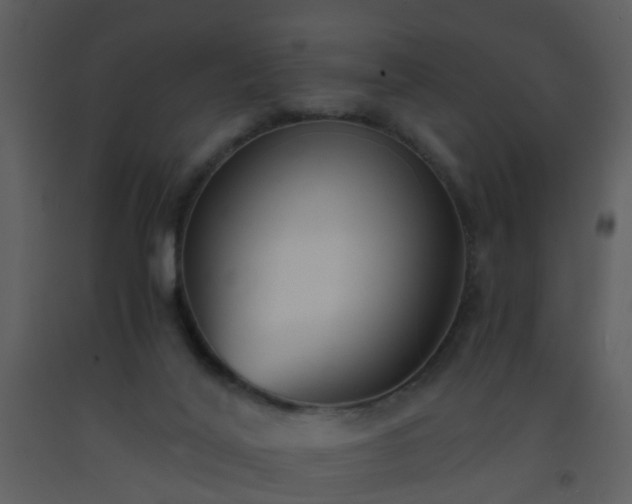 X0000093570020200710221452