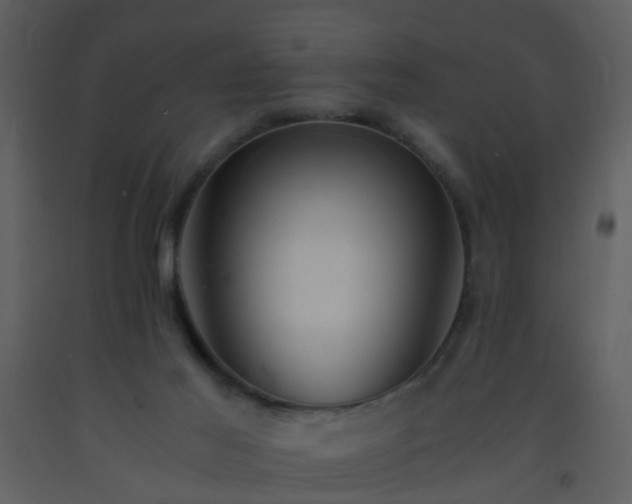 X0000093570021200710221452