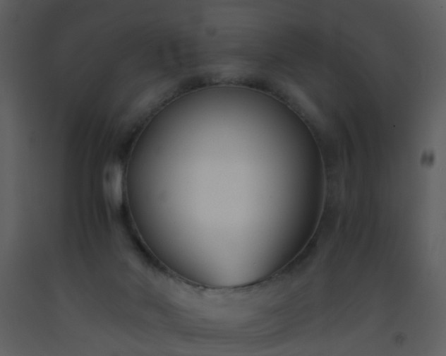 X0000093570022200710221452
