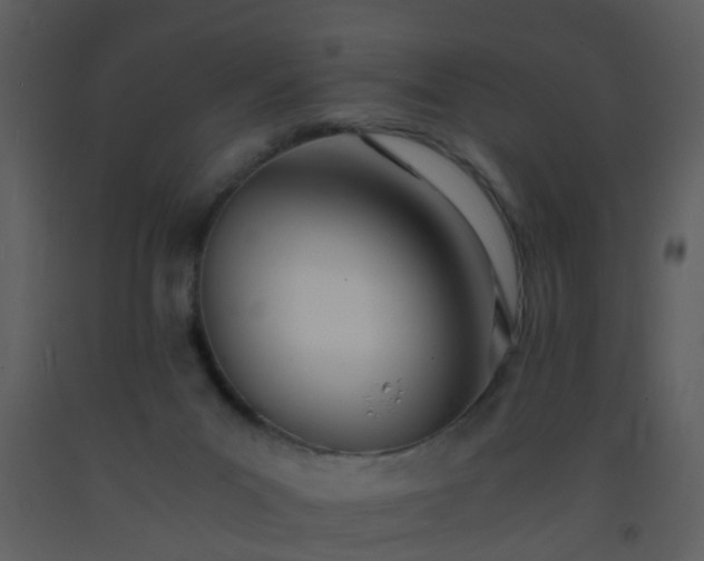 X0000093570023200710221452