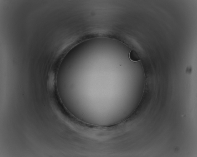 X0000093570024200710221452