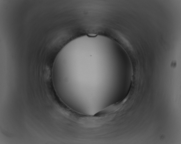 X0000093570025200710221452