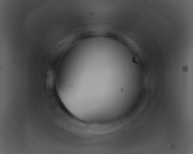 X0000093570026200710221452