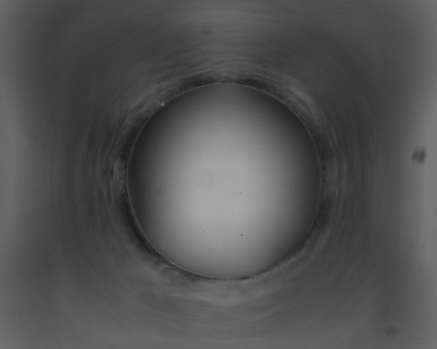 X0000093570029200710221452