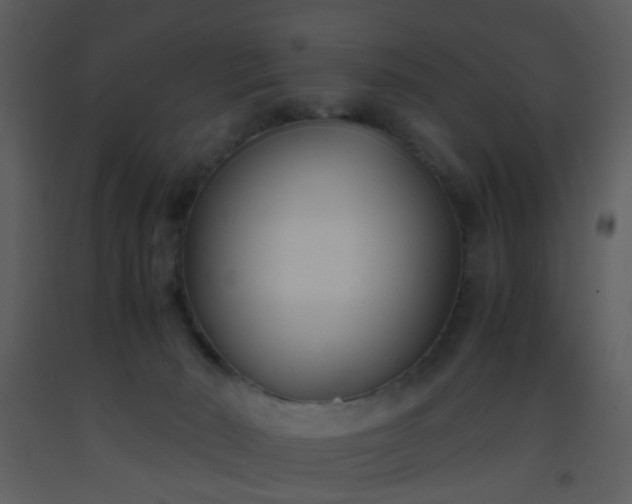 X0000093570030200710221452
