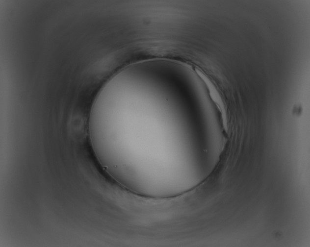 X0000093570031200710221452