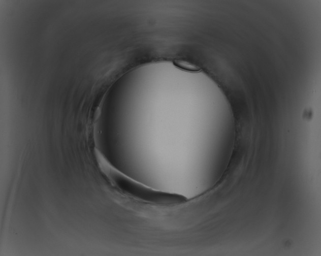X0000093570033200710221452
