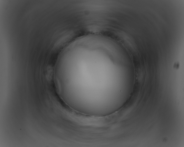 X0000093570036200710221452