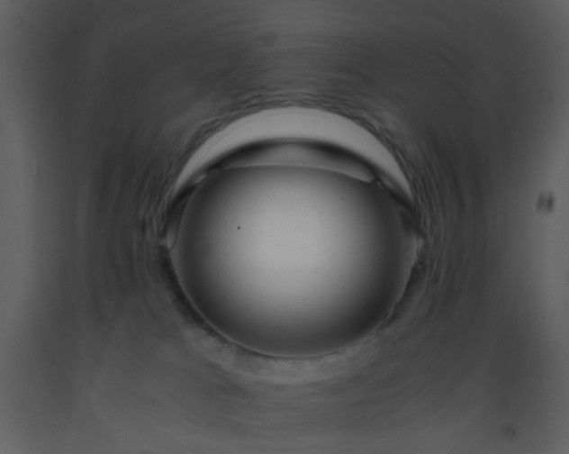 X0000093570037200710221452