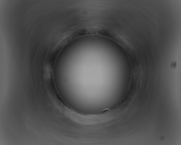 X0000093570038200710221452
