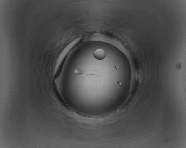 X0000093570039200710221452