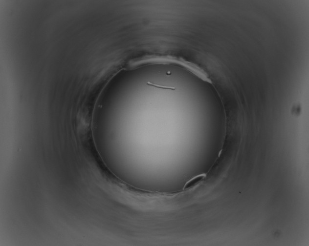 X0000093570040200710221452