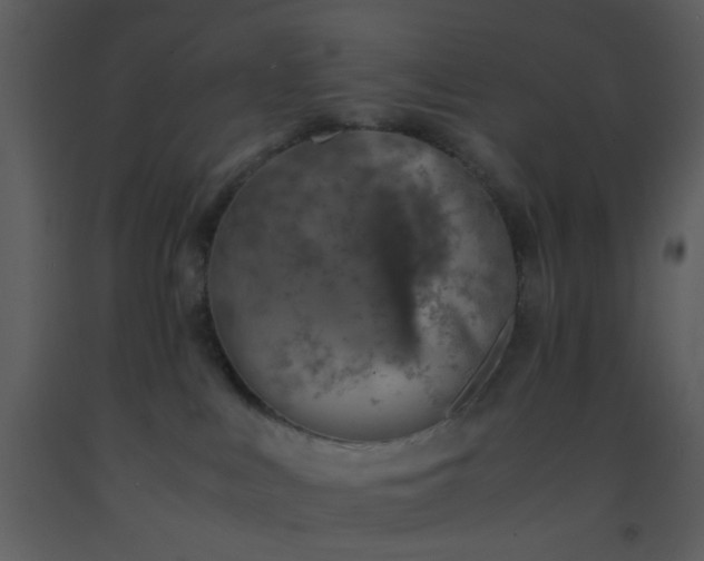 X0000093570043200710221452