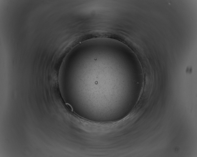 X0000093570048200710221452