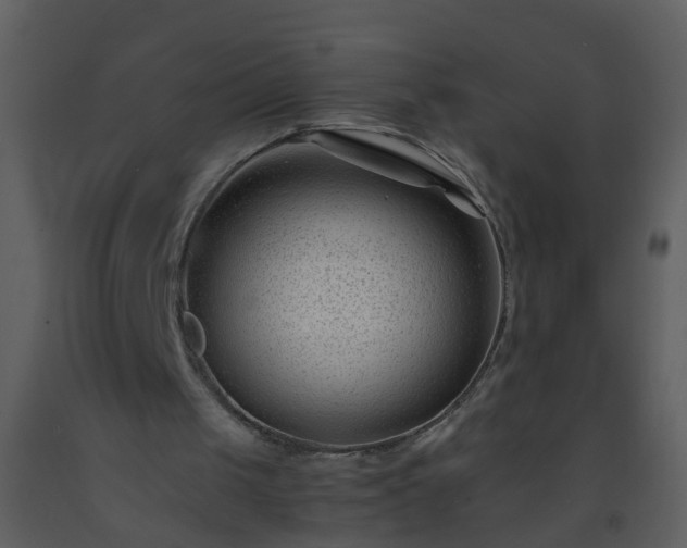 X0000093570049200710221452