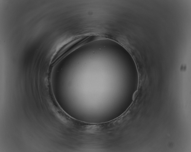 X0000093570050200710221452