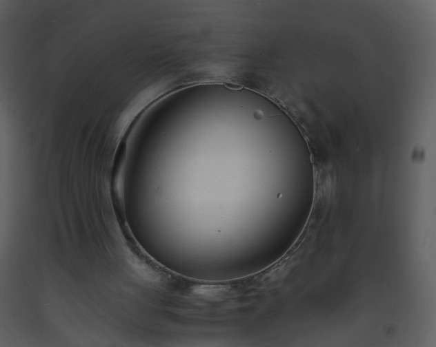 X0000093570051200710221452