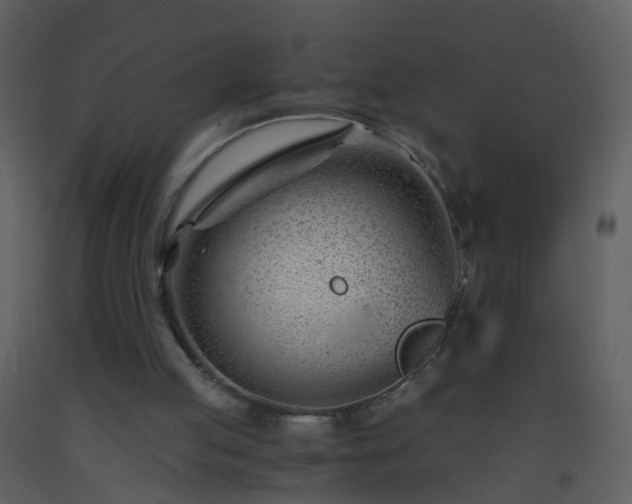 X0000093570053200710221452