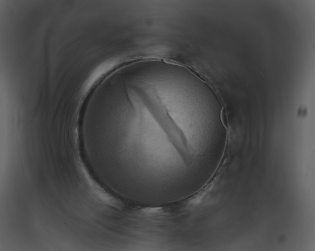 X0000093570054200710221452