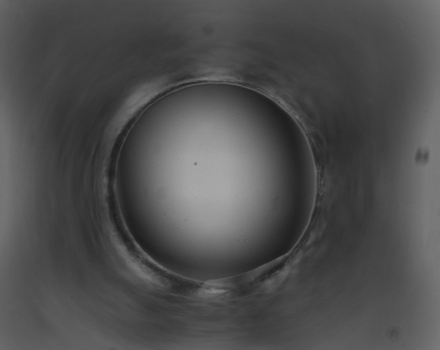 X0000093570055200710221452