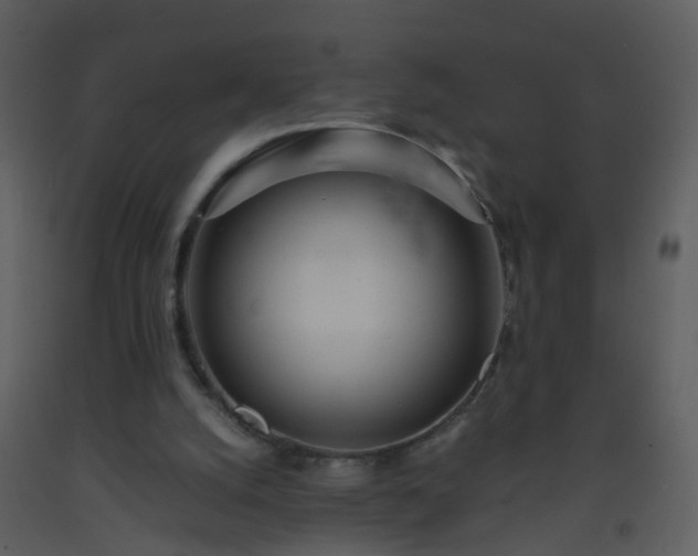 X0000093570056200710221452
