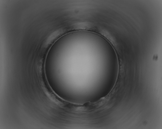 X0000093570058200710221452