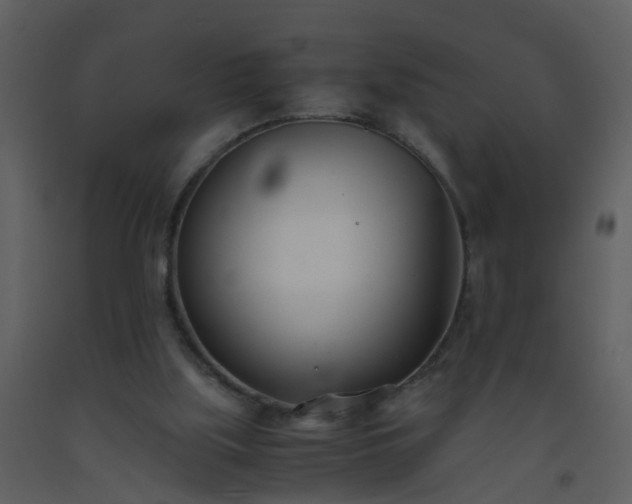 X0000093570059200710221452