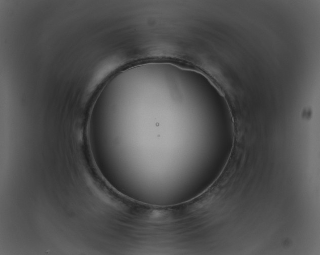 X0000093570060200710221452