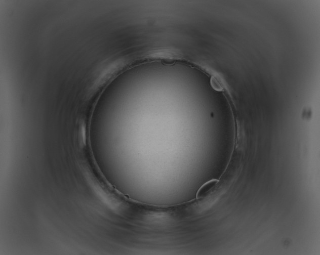 X0000093570061200710221452