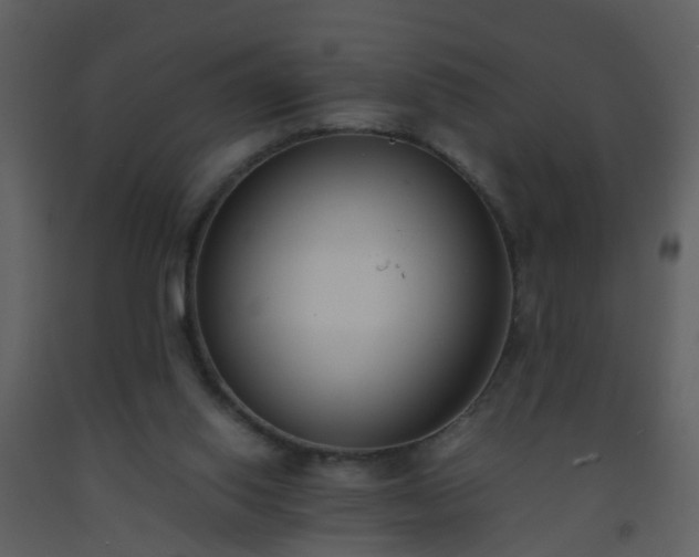 X0000093570062200710221452