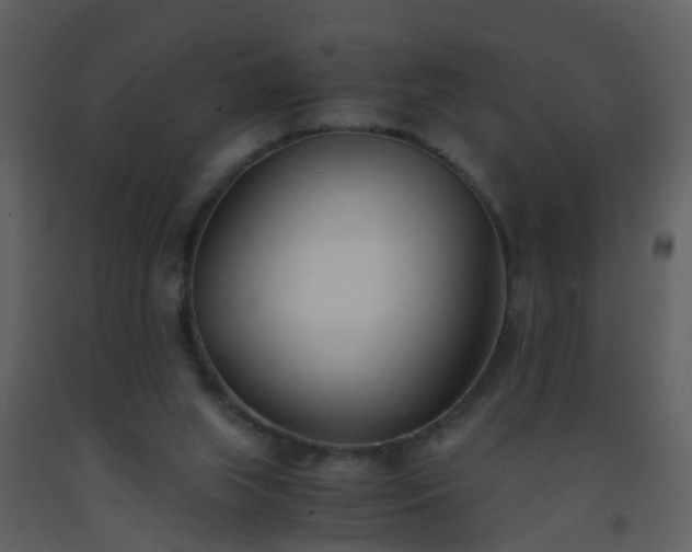 X0000093570063200710221452