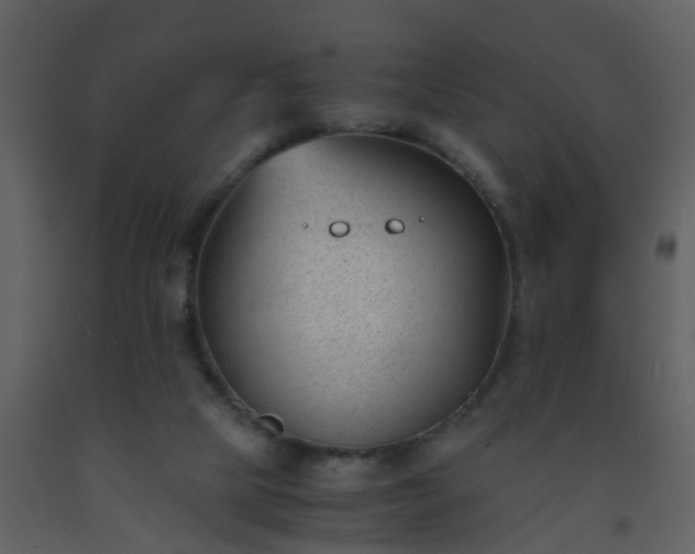 X0000093570065200710221452