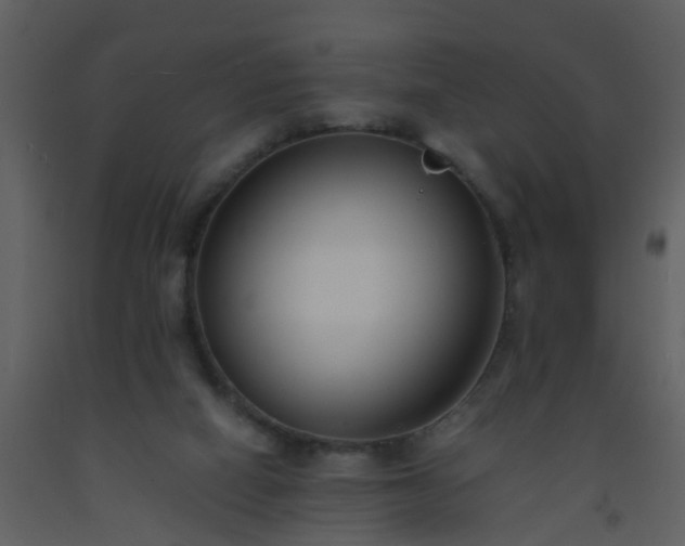 X0000093570066200710221452