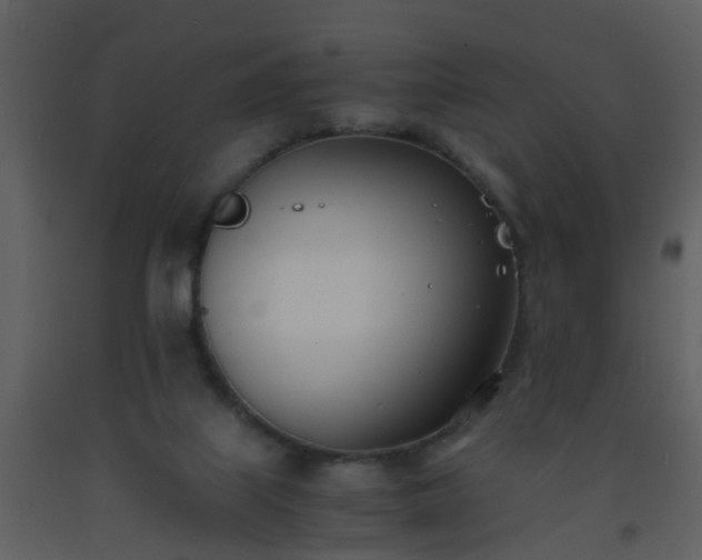 X0000093570067200710221452