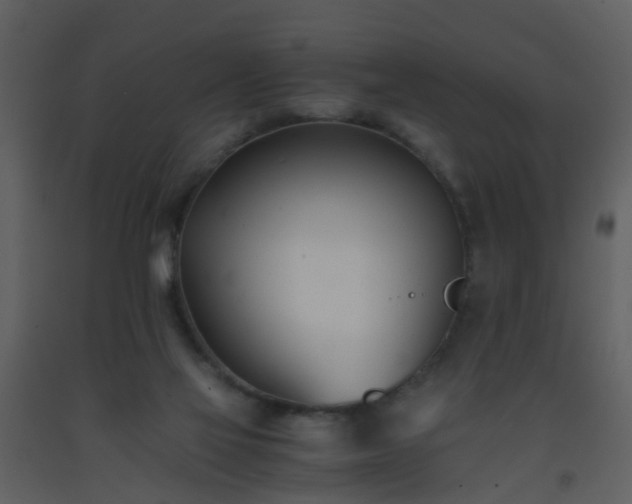 X0000093570069200710221452