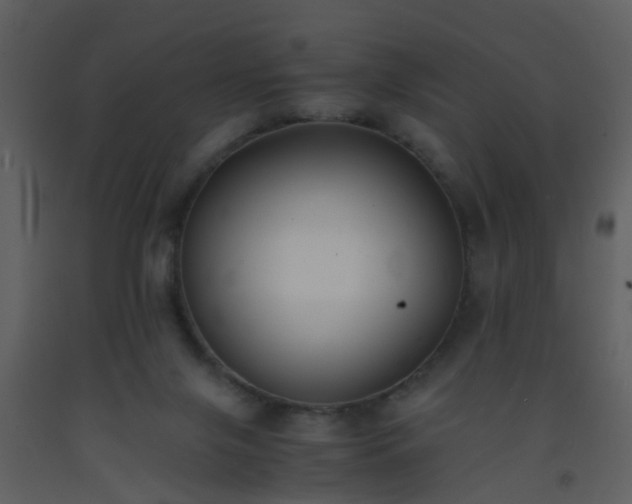 X0000093570071200710221452