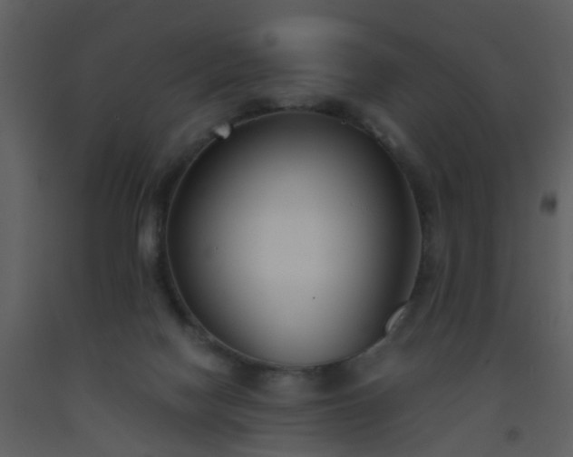 X0000093570074200710221452