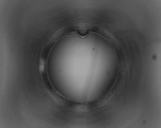 X0000093570075200710221452