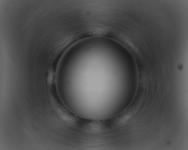 X0000093570076200710221452