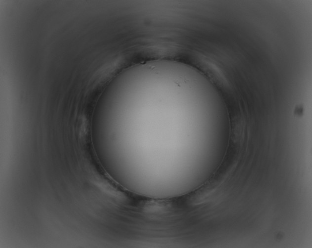 X0000093570077200710221452