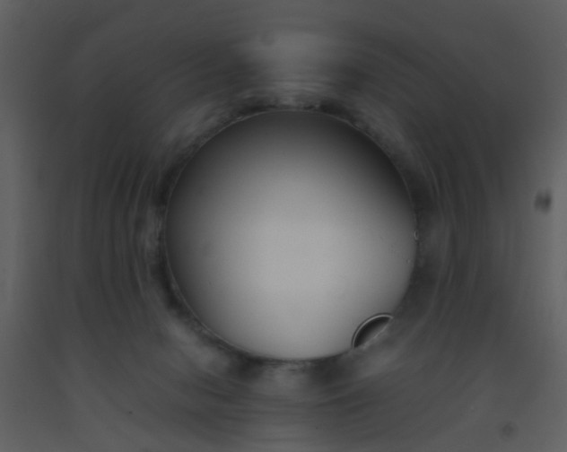 X0000093570078200710221452