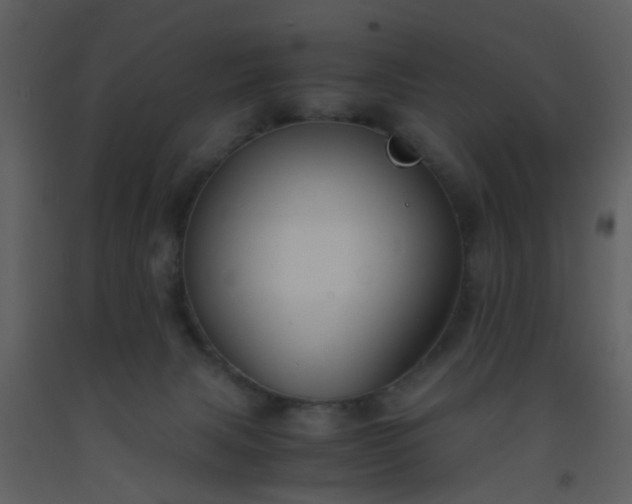 X0000093570079200710221452