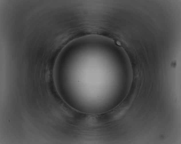 X0000093570080200710221452