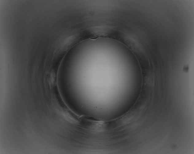 X0000093570081200710221452
