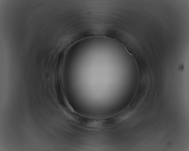 X0000093570084200710221452