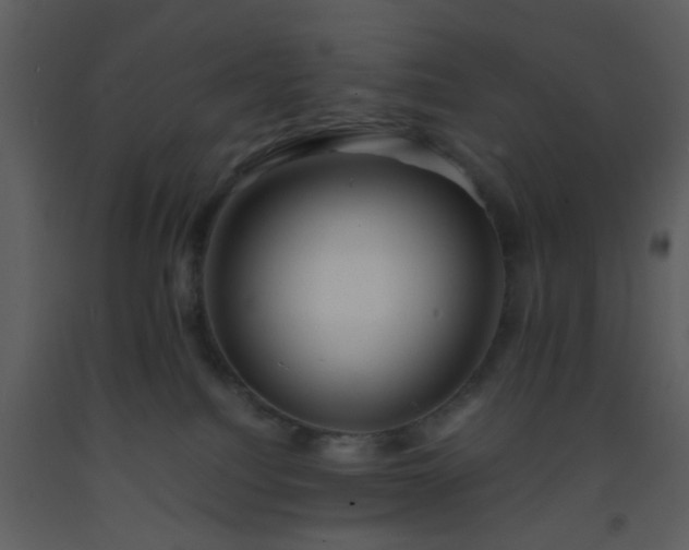 X0000093570088200710221452